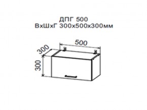 Шкаф верхний ДПГ500 горизонтальный в Новом Уренгое - novyj-urengoj.магазин96.com | фото