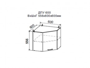 Шкаф верхний ДПУ600 угловой в Новом Уренгое - novyj-urengoj.магазин96.com | фото